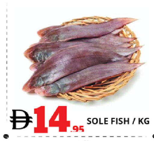 available at EXPRESS AL MADEENA HYPERMARKET LLC in UAE - Abu Dhabi