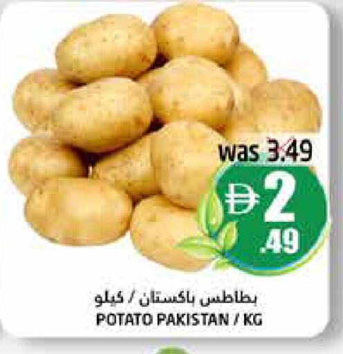 Potato from Pakistan available at هايبر ماركت باسونز in الإمارات العربية المتحدة , الامارات - ٱلْفُجَيْرَة‎