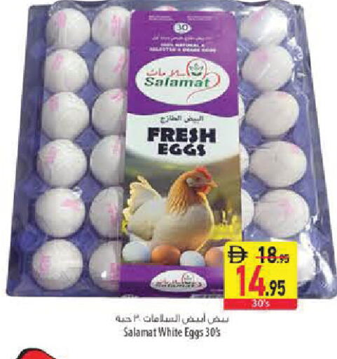 available at السفير ماركت in الإمارات العربية المتحدة , الامارات - أبو ظبي