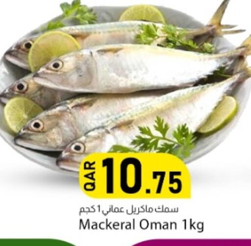 available at Dana Market in Qatar - Al Shamal