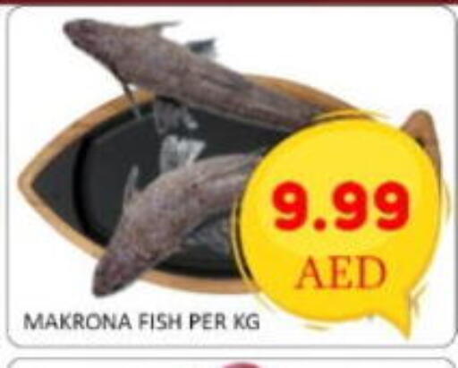 available at GREEN GIFT DEPARTMENT STORE in UAE - Abu Dhabi