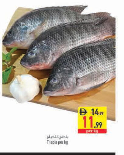 available at السفير ماركت in الإمارات العربية المتحدة , الامارات - أبو ظبي