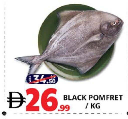 available at EXPRESS AL MADEENA HYPERMARKET LLC in UAE - Abu Dhabi