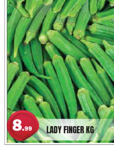 available at سنابل بني ياس in الإمارات العربية المتحدة , الامارات - أم القيوين‎