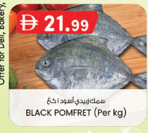 available at K M Trading  in UAE - Fujairah