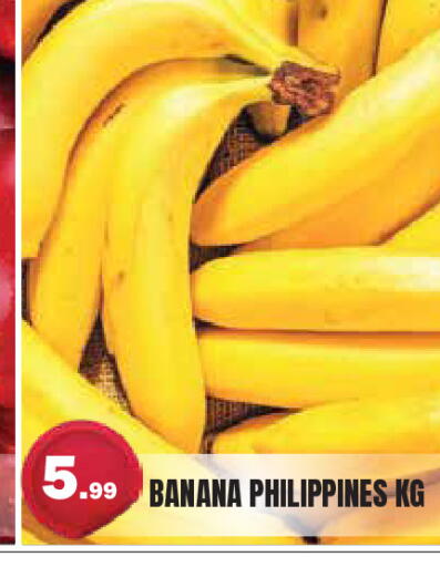 Banana from Philippines available at Baniyas Spike  in UAE - Umm al Quwain
