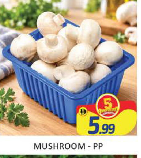 Mango Mushroom متوفر لدى مانجو هايبرماركت في الإمارات العربية المتحدة , الامارات - دبي