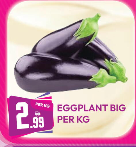 Eggplant متوفر لدى دريم لاند في الإمارات العربية المتحدة , الامارات - دبي