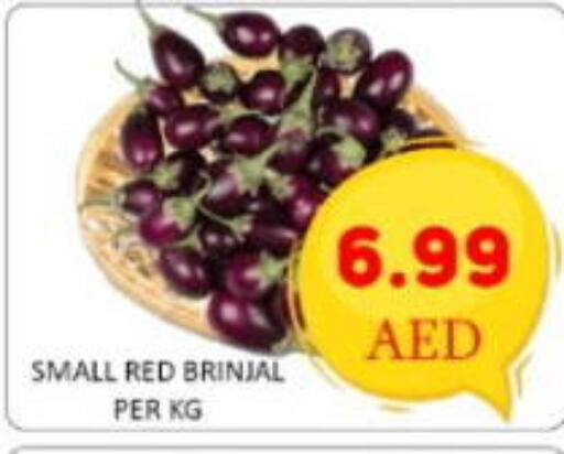 available at GREEN GIFT DEPARTMENT STORE in UAE - Abu Dhabi