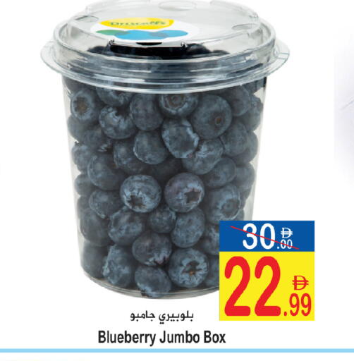 Blueberry BlueBerry available at سن اند ساند هايبر ماركت ذ.م.م in الإمارات العربية المتحدة , الامارات - ٱلْفُجَيْرَة‎
