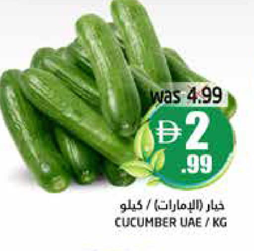 Cucumber available at هايبر ماركت باسونز in الإمارات العربية المتحدة , الامارات - ٱلْفُجَيْرَة‎