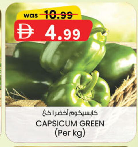 Capsicum متوفر لدى ك. الم. للتجارة في الإمارات العربية المتحدة , الامارات - أبو ظبي