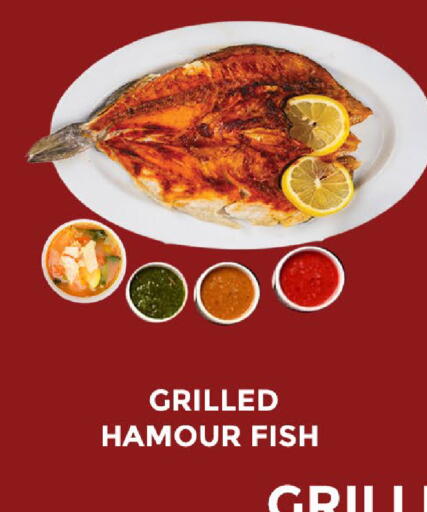 Mango available at Mango Hypermarket LLC in UAE - Sharjah / Ajman