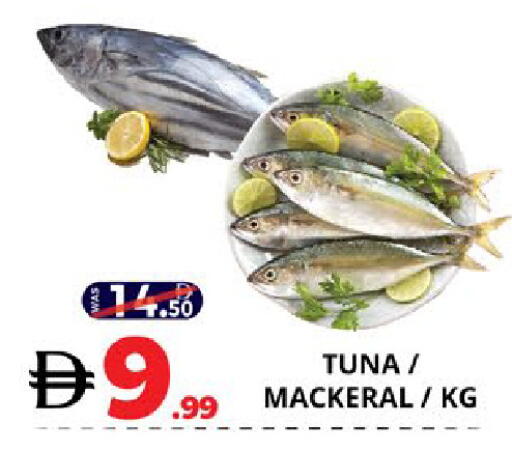 available at EXPRESS AL MADEENA HYPERMARKET LLC in UAE - Abu Dhabi