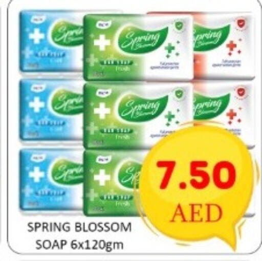 available at GREEN GIFT DEPARTMENT STORE in UAE - Abu Dhabi