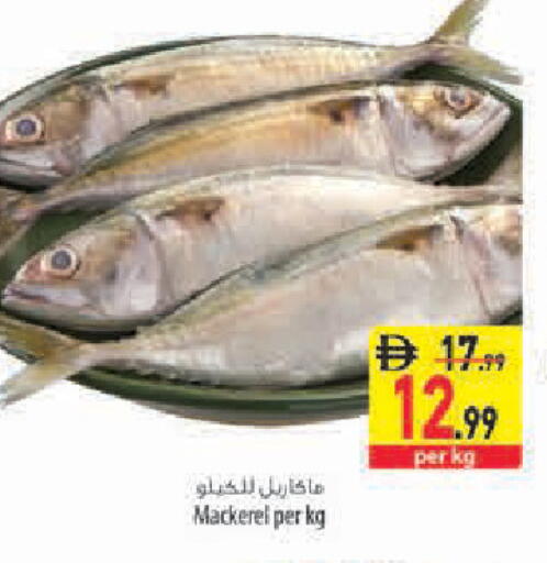 available at Safeer Market in UAE - Sharjah / Ajman