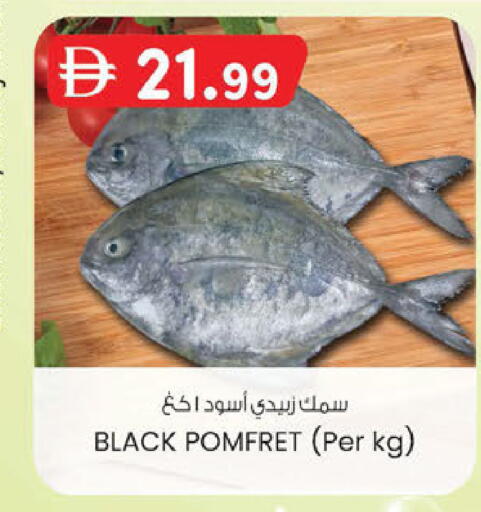 available at K M Trading  in UAE - Abu Dhabi