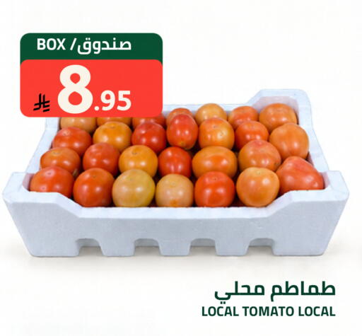 Tomato available at Astra Markets in KSA, Saudi Arabia, Saudi - Tabuk