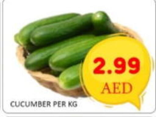 available at GREEN GIFT DEPARTMENT STORE in UAE - Abu Dhabi