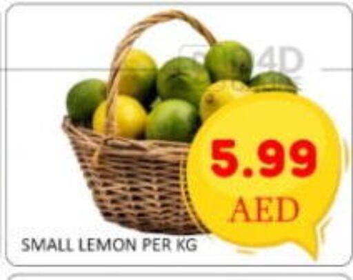 available at GREEN GIFT DEPARTMENT STORE in UAE - Abu Dhabi