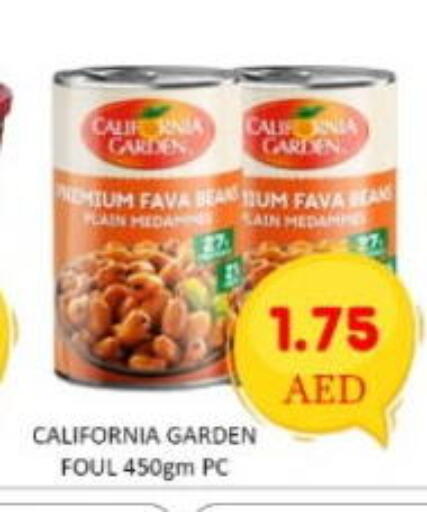 Radish available at GREEN GIFT DEPARTMENT STORE in UAE - Abu Dhabi
