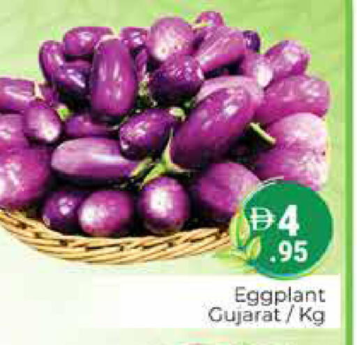 Eggplant متوفر لدى هايبر ماركت باسونز في الإمارات العربية المتحدة , الامارات - دبي