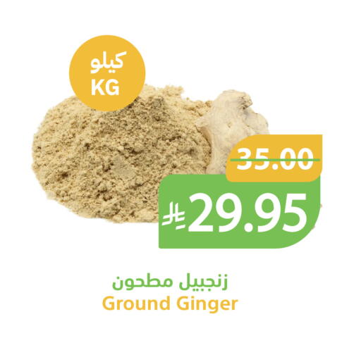 Ginger متوفر لدى أسواق قاطبة في مملكة العربية السعودية, السعودية, سعودية - بريدة