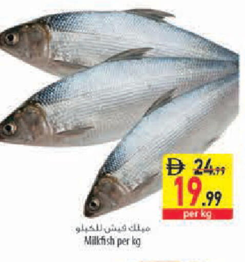 available at Safeer Market in UAE - Sharjah / Ajman