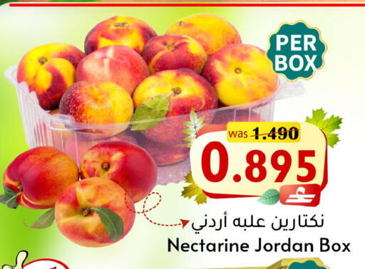 Nectarine from Jordan available at Al Qoot Hypermarket in Oman - Muscat