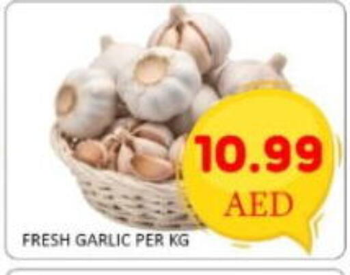 available at GREEN GIFT DEPARTMENT STORE in UAE - Abu Dhabi