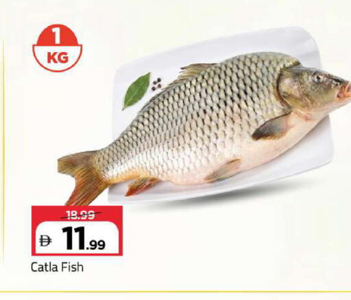 available at Mark & Save in UAE - Sharjah / Ajman