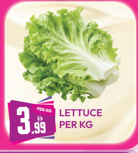 Lettuce متوفر لدى دريم لاند في الإمارات العربية المتحدة , الامارات - دبي