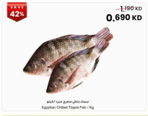available at The Sultan Center in Kuwait - Kuwait City