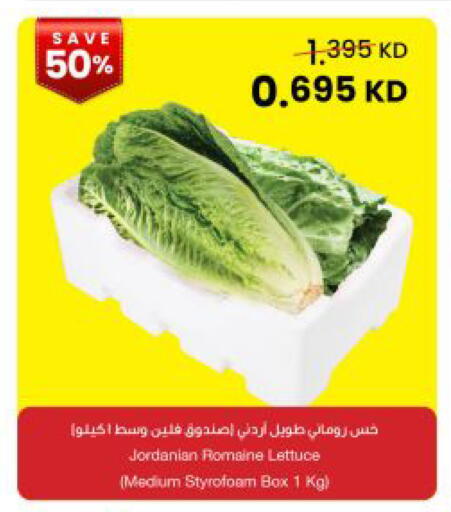 Lettuce from Jordan available at The Sultan Center in Kuwait - Kuwait City