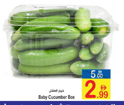 Cucumber available at Sun and Sand Hypermarket in UAE - Fujairah
