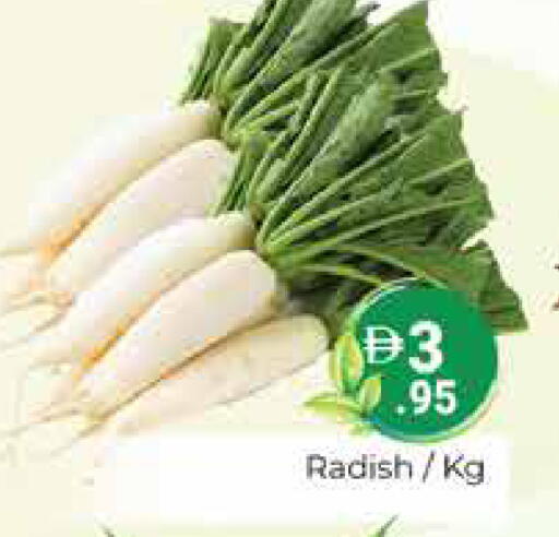 Radish متوفر لدى هايبر ماركت باسونز في الإمارات العربية المتحدة , الامارات - دبي