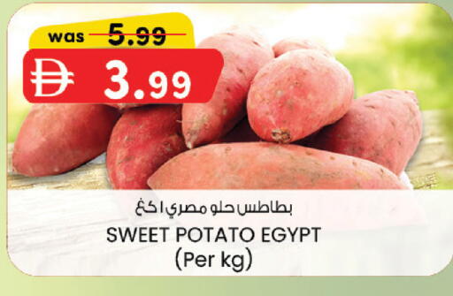 Sweet Potato من Egypt متوفر لدى ك. الم. للتجارة في الإمارات العربية المتحدة , الامارات - ٱلْفُجَيْرَة‎