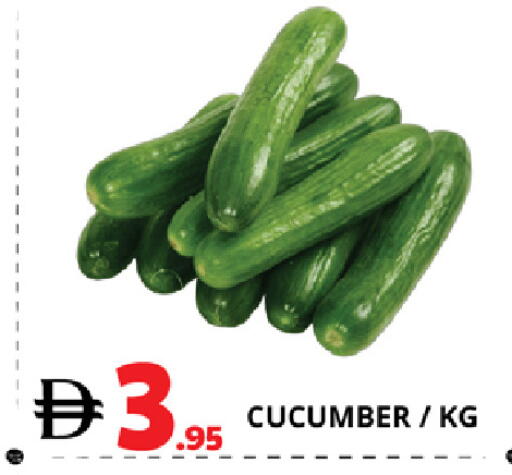 Cucumber available at EXPRESS AL MADEENA HYPERMARKET LLC in UAE - Abu Dhabi