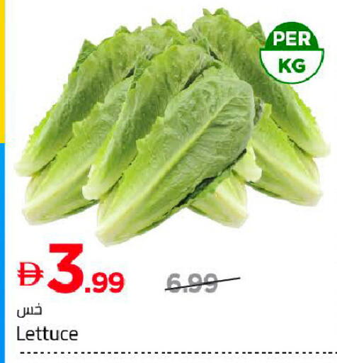 Lettuce available at Mark & Save in UAE - Dubai