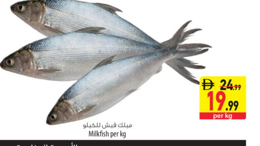 available at السفير ماركت in الإمارات العربية المتحدة , الامارات - أم القيوين‎