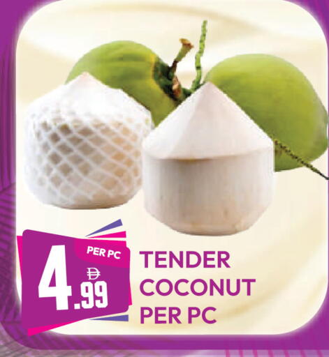 Coconut متوفر لدى دريم لاند في الإمارات العربية المتحدة , الامارات - دبي