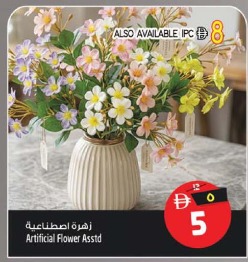 available at سفاري هايبر ماركت in الإمارات العربية المتحدة , الامارات - رَأْس ٱلْخَيْمَة