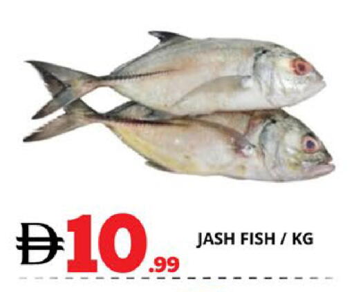 available at EXPRESS AL MADEENA HYPERMARKET LLC in UAE - Abu Dhabi