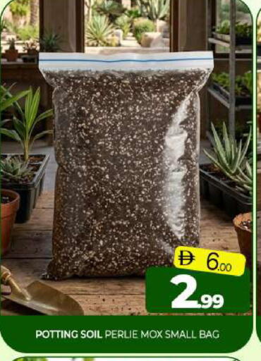 available at Al Madina  in UAE - Sharjah / Ajman