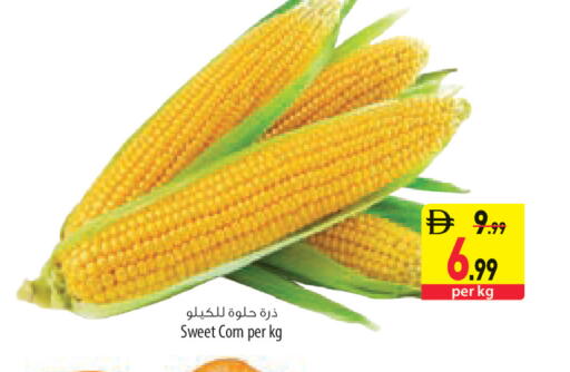 available at السفير ماركت in الإمارات العربية المتحدة , الامارات - أم القيوين‎