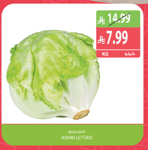Lettuce available at Farm  in KSA, Saudi Arabia, Saudi - Al Khobar