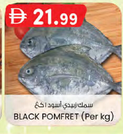 available at Safa Hyper in UAE - Al Ain