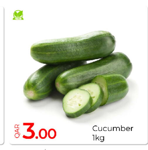 Cucumber available at جي-ماكس هايبرماركت in قطر - الريان