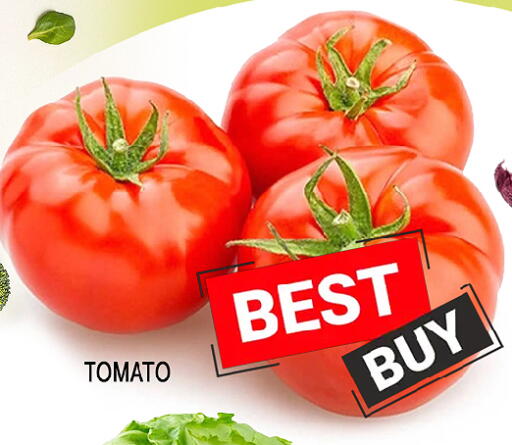 Mango Tomato available at مانجو هايبرماركت in الإمارات العربية المتحدة , الامارات - الشارقة / عجمان