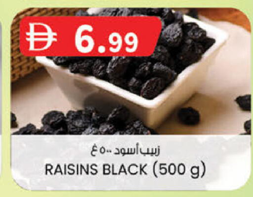متوفر لدى ك. الم. للتجارة في الإمارات العربية المتحدة , الامارات - دبي